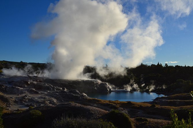 7 Hours Te Puia Rotorua Tour from Tauranga with Concert - Key points to know before you book
