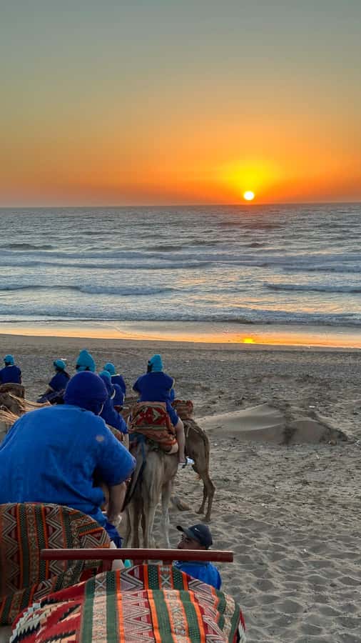 Agadir/Taghazout: Sunset Camel Ride with BBQ and Music Show - Who should book this Tamri evening?