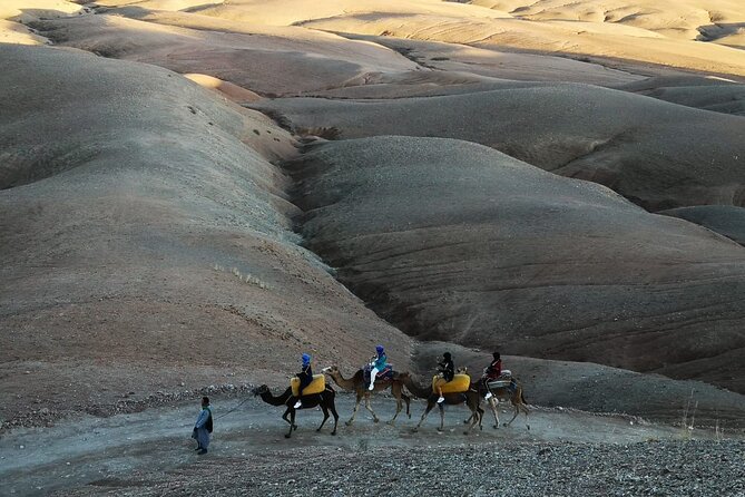 Agafay Desert Camel Ride from Marrakech with Dinner & Live Music - Is $81.80 a fair price?