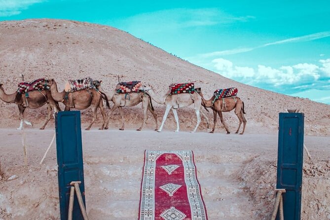 Agafay Desert Camel Ride from Marrakech with Dinner & Live Music - Dinner in a haima after dark