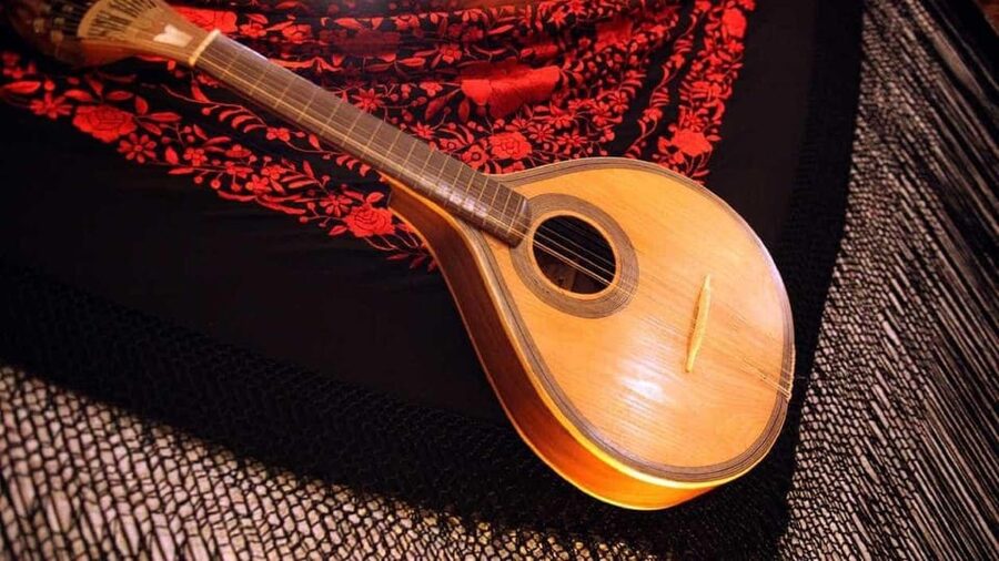 All-inclusive Fado Tour: Show & Dinner. Lisbon at Night - Who should book this Fado tour?