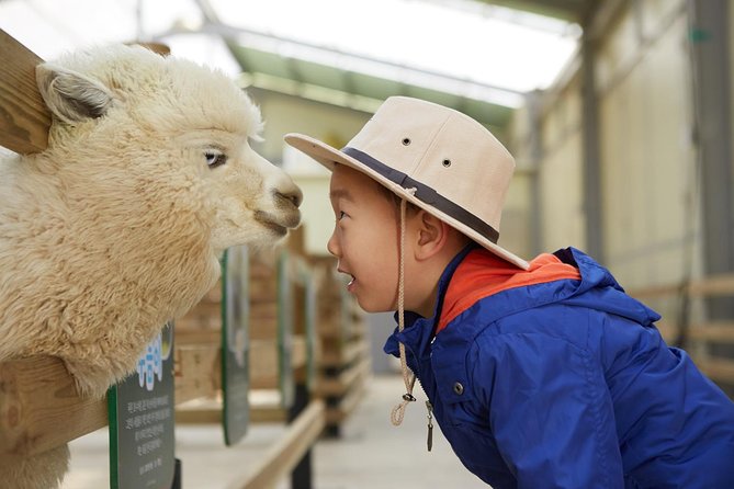 Alpaca World, Railbike and Vivaldi Park Experiences from Seoul - Key points to know before booking