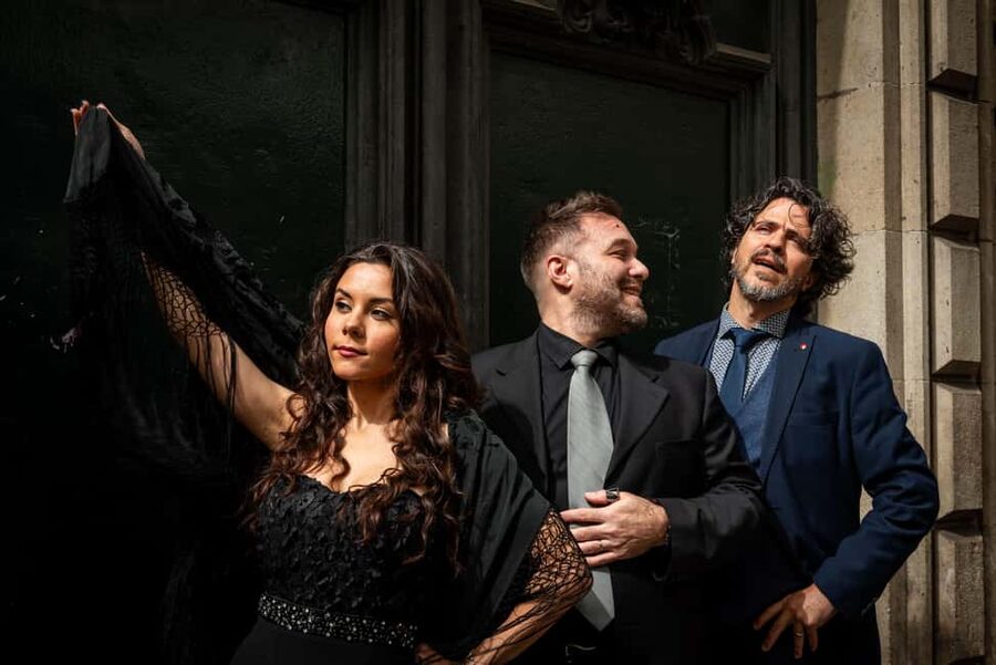 Barcelona: Concert GRAND ZARZUELA GALA - The museum setting adds more than decoration