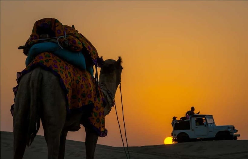 Blissful Half Day Sunset Camel Safari with Musical Evening - A pure vegetarian buffet before the drive back