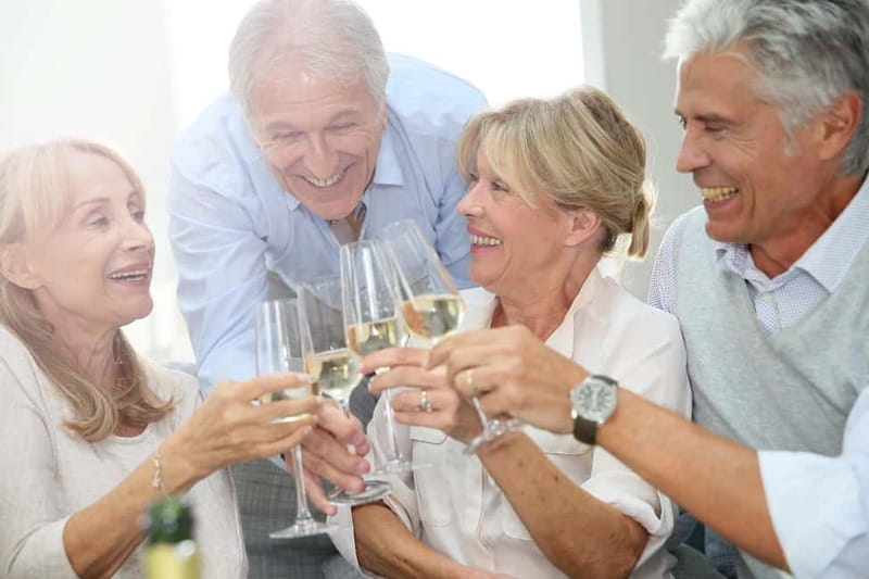 Bonn: Seniors' cruise with live music on the MS Moby Dick - What the three-hour route gives you