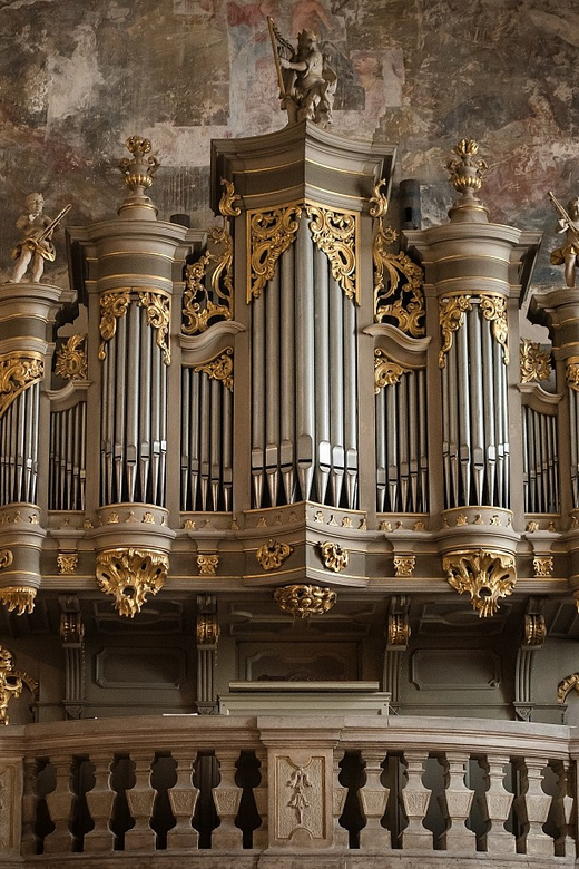 Budapest: Concert on the Oldest Working Organ in the City - Why the $24 price makes sense