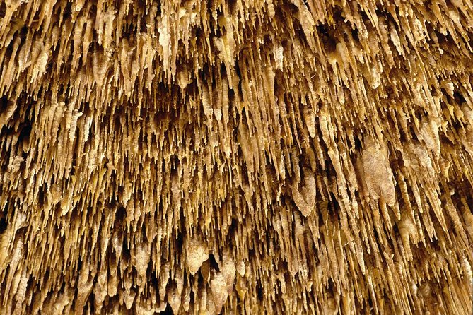 Caves of Drach Half-Day Tour with Boat Trip and Music Concert - Who will get the most from this half-day outing