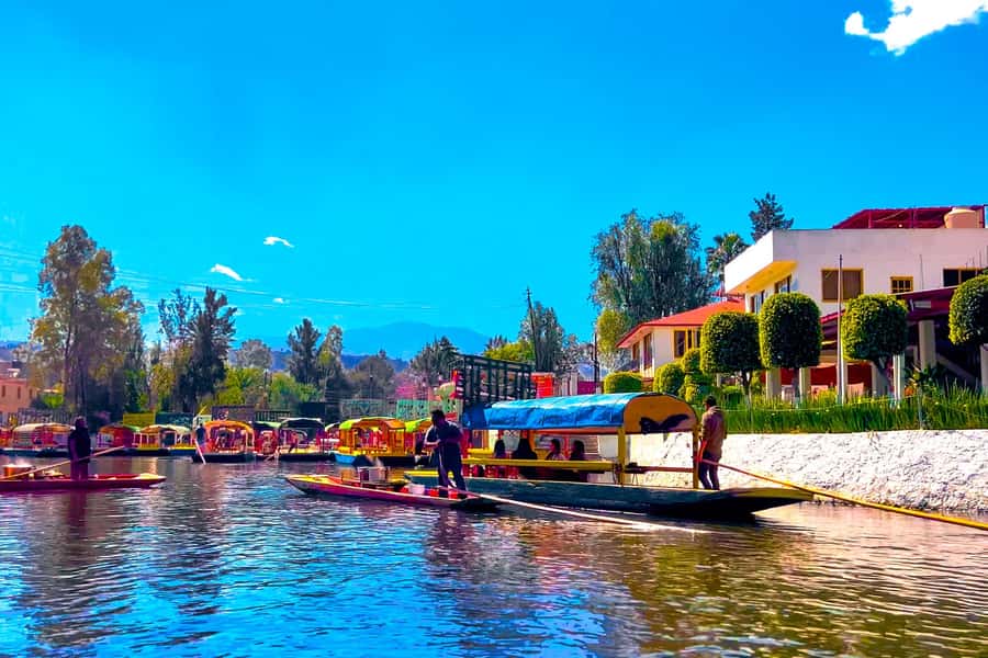 CDMX: Xochimilco Trajinera Party, Drinks, Mariachi & Tacos - Drinks, mariachi, and the first lift in energy