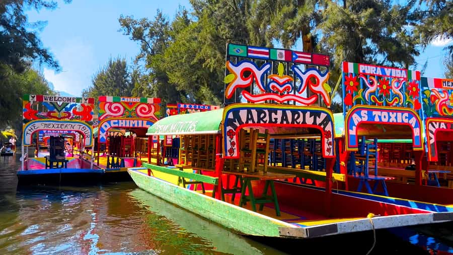 CDMX: Xochimilco Trajinera Party, Drinks, Mariachi & Tacos - Should you book the Xochimilco party boat?