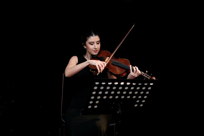 Concert at House of Music Vienna: Mozart, Strauss & the Masters - Is $35 good value?