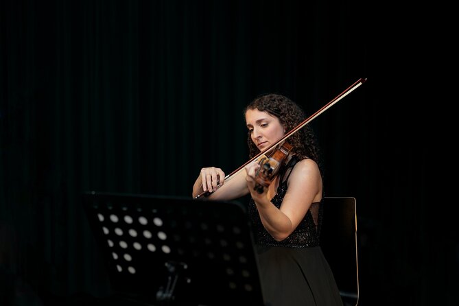 Concert at House of Music Vienna: Mozart, Strauss & the Masters - A few limits to keep in mind