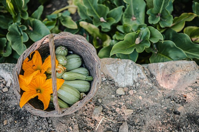 Cooking Experience Live Music and Traditional Dance in Naxos - Who should book this Naxos cooking experience?