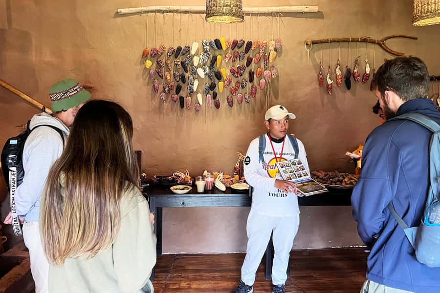 Cusco: Historic Walking Tour with Pisco Sour and Music Show - Plaza de Armas, the Cathedral, and Company of Jesus
