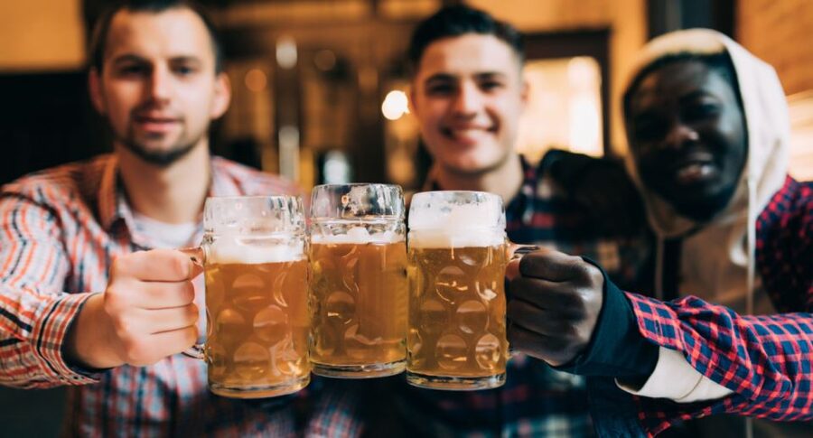 Dublin: Guided Irish Musical Pub Tour - Who will enjoy this Dublin pub tour most