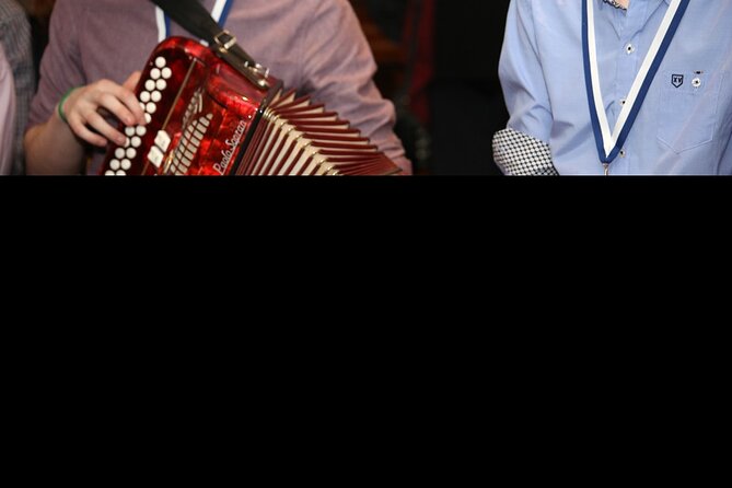 Dublin Irish Musical Pub Tour - Who will enjoy this Dublin night out