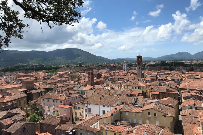 Enjoyable music tour of the historical city of Lucca - San Giovanni and San Martino connect music to worship