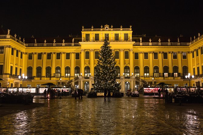 Exclusive Evening at Schönbrunn Palace: After-Hours Audiotour, Dinner, Concert - The Orangery concert: the strongest part of the evening