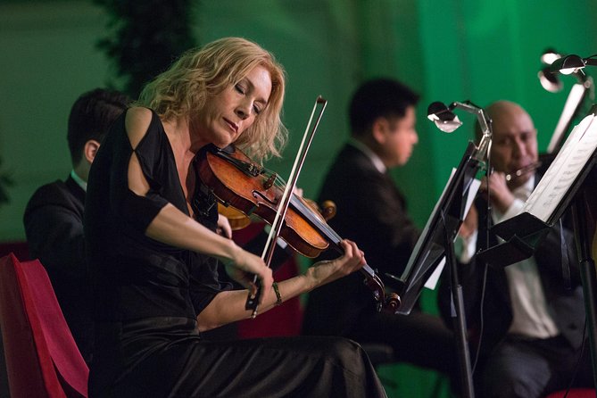 Exclusive Evening at Schönbrunn Palace: After-Hours Audiotour, Dinner, Concert - Who should book this Schönbrunn package?