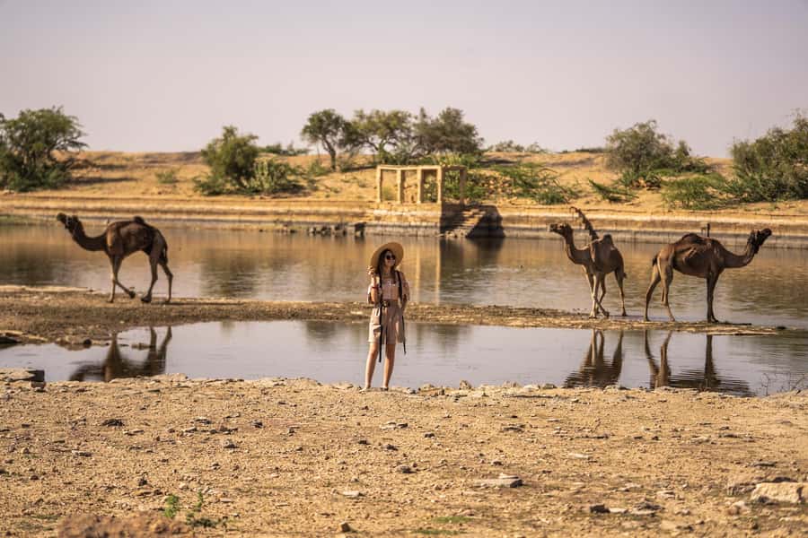 Exclusive Musical Evening at Desert Luxury Camp (NO CAMEL) - From Jaisalmer to the abandoned village of Kuldhara