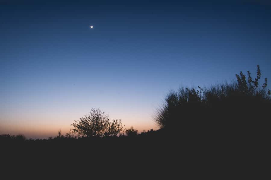 Exclusive Musical Evening at Desert Luxury Camp (NO CAMEL) - The guide can shape the whole evening