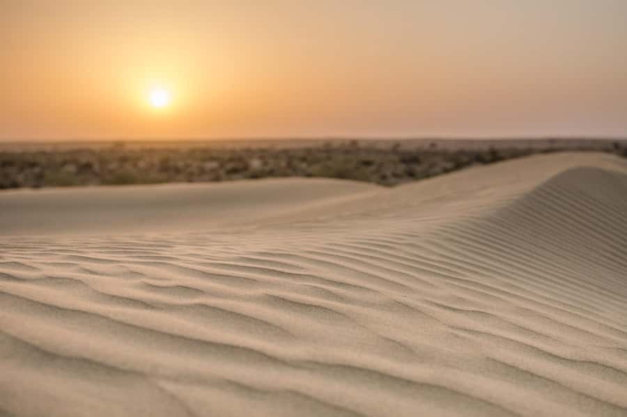 Exclusive Musical Evening at Desert Luxury Camp (NO CAMEL) - Who will enjoy this desert evening