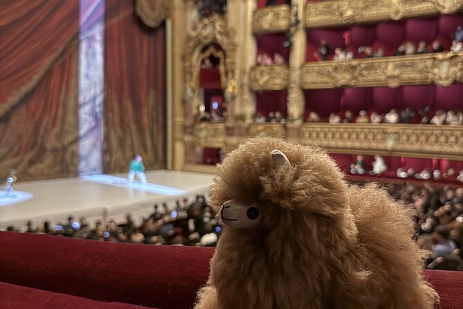 Exclusive Opera Garnier Private Guided Tour - The Phantom of the Opera connection