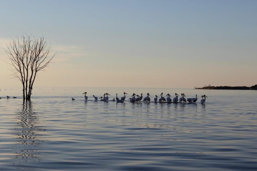Fish Creek, WI: Sunset Live Music Cruise - Is $47 a fair price?