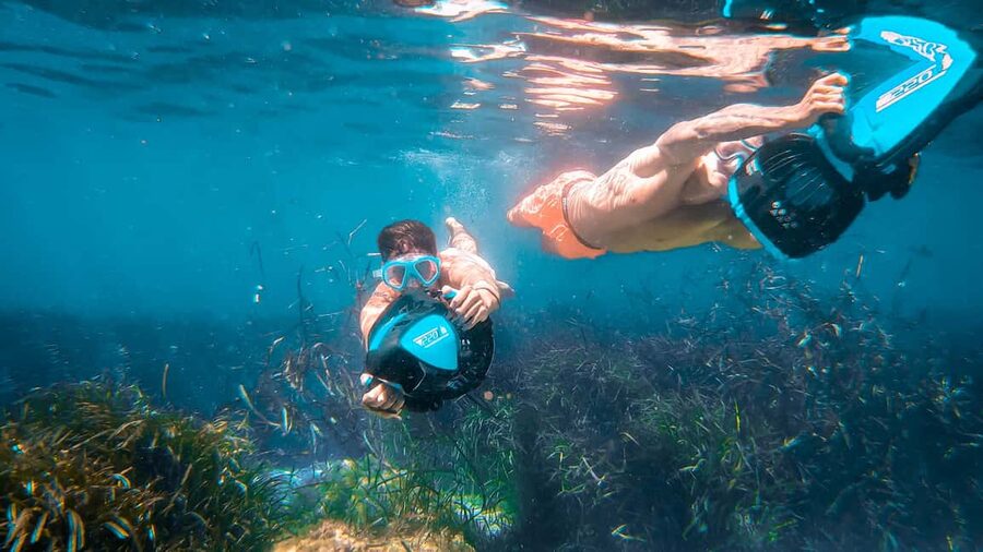 From Magaluf: Palma Bay Sightseeing Cruise with Live Music - The swim stop is the active highlight