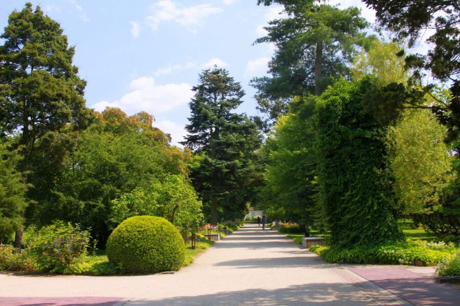 From Warsaw: Tour to Chopin's Birthplace - Żelazowa Wola - The park, ponds, and glass concert pavilions