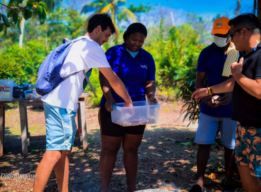 Gastronomic and musical experiences in San Andres Rondontour - Why rondón tells you so much about San Andrés
