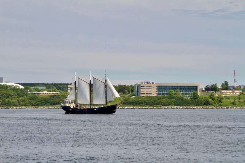 Halifax: Tall Ship Harbor Sailing Cruise with Live Music - What the Two-Hour Schedule Feels Like