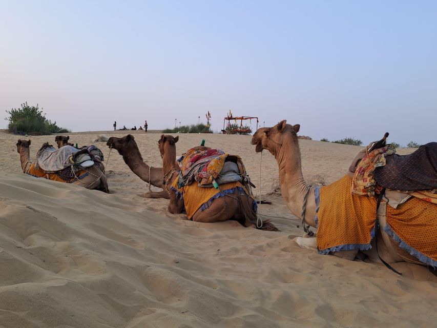 Jeep & Camel Ride, Musical Evening in The Desert Luxury Camp - Tea, snacks, and a proper Rajasthani meal
