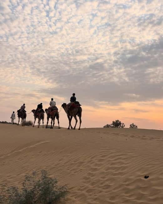 Jeep & Camel Ride, Musical Evening in The Desert Luxury Camp - What the $45 price really covers