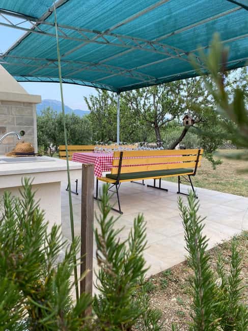 Kastela: Wine & Olive Tasting Tour w/Delicacies & Live Music - Why the six-person limit matters