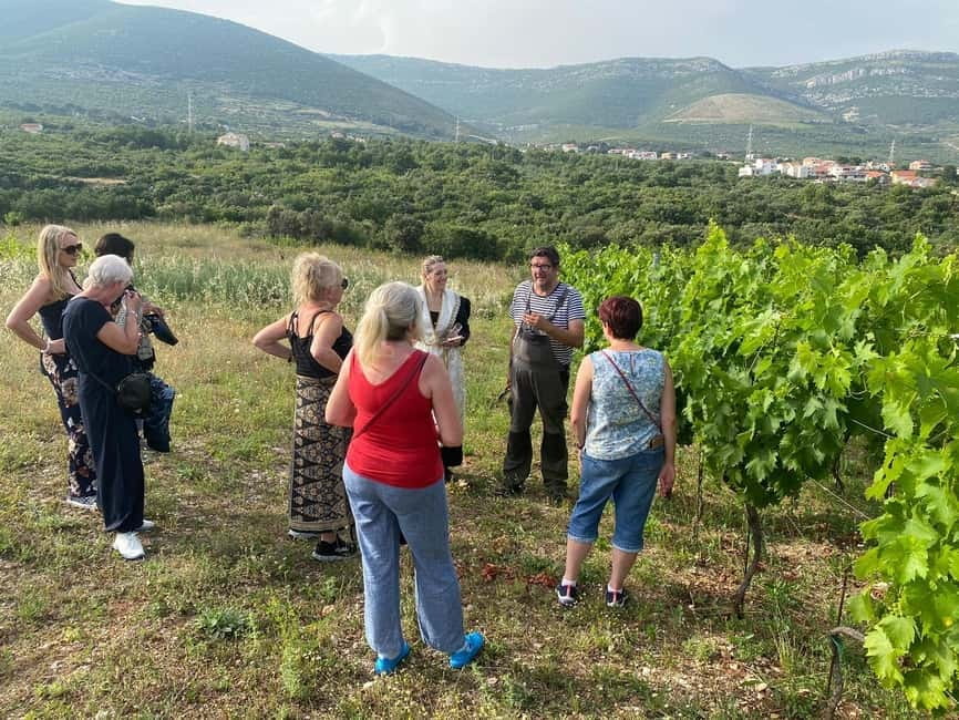 Kastela: Wine & Olive Tasting Tour w/Delicacies & Live Music - Who will enjoy this farm experience most?