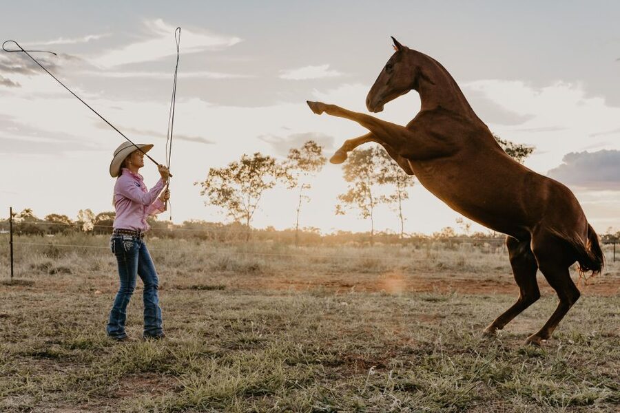 Katherine: Authentic Outback Show and Live Music - How much value you get for $59