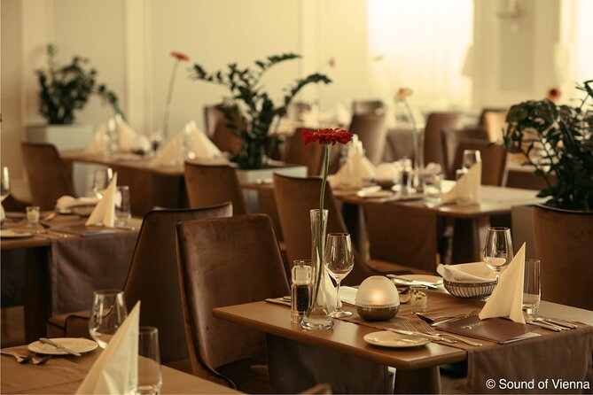 Kursalon Vienna: Strauss and Mozart Concert With Dinner - Choosing your seat and deciding on VIP