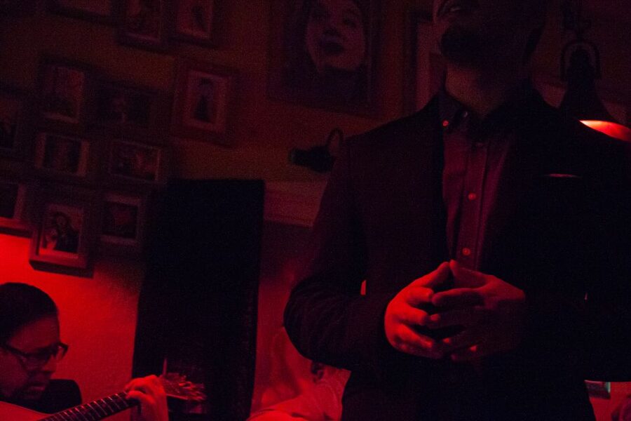 Lisbon: Alfama Tour and Live Fado with Traditional Dinner - The Fado house and live performance