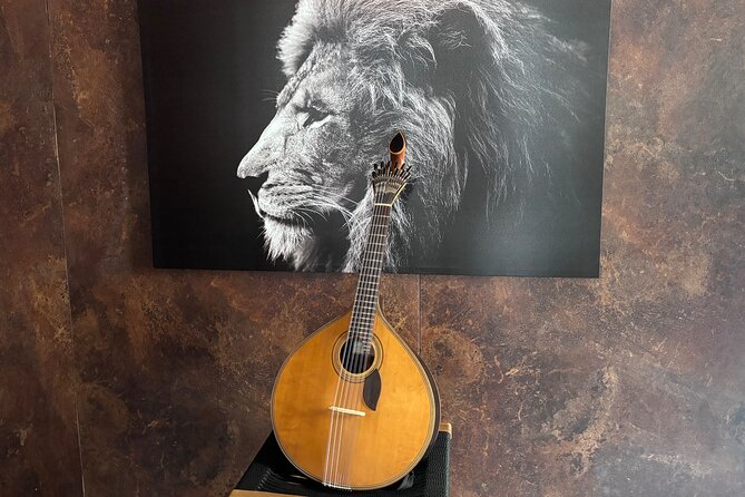 Lisbon: Authentic Live Fado Show in Alfama With Port Wine - Who will enjoy this most?