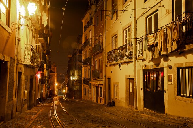 Lisbon Fado Dinner Show and Panoramic Night Tour - What the Fado show is like