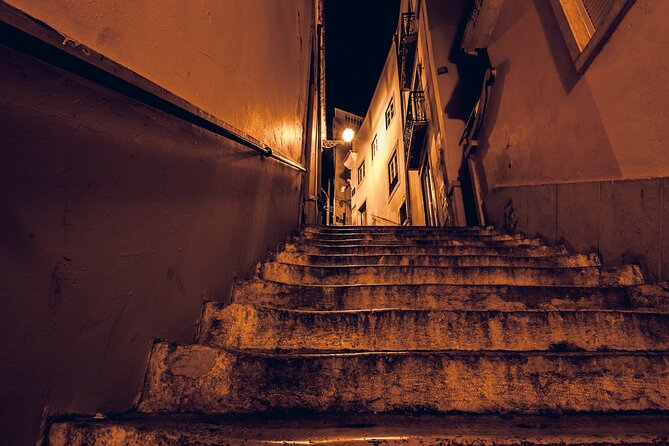 Lisbon Fado Dinner Show and Panoramic Night Tour - Who will enjoy this tour most