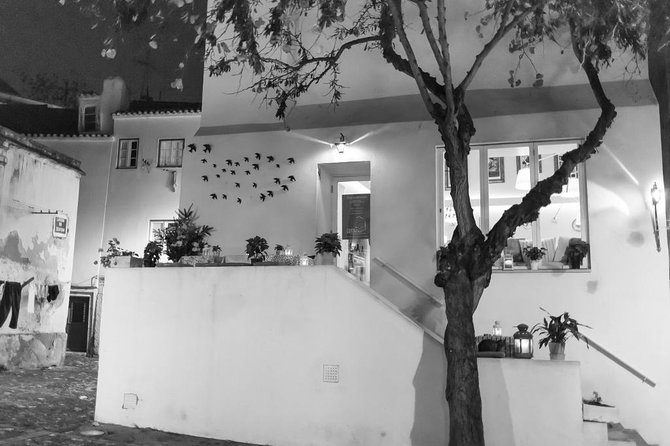 Lisbon Fado Walking Tour (with a Fado singer) - Who will enjoy this fado evening most