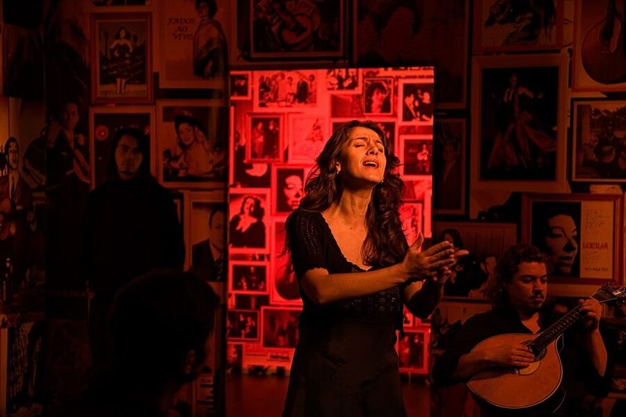 Lisbon: Half-Day Night Group Tour w/ Fado Dinner Show - Alfama and the sound of Fado
