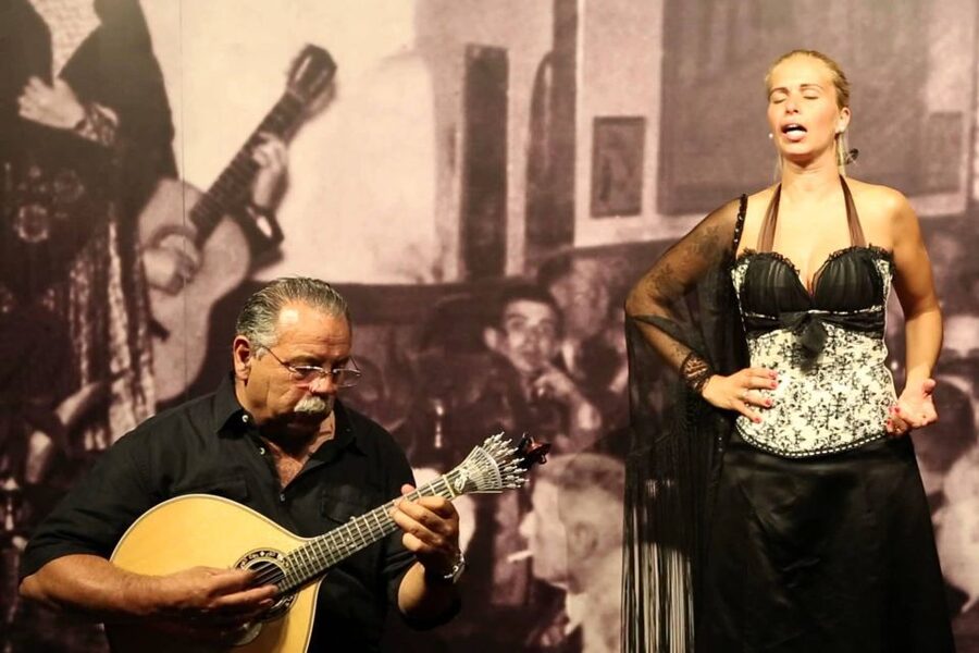 Lisbon: Half-Day Night Group Tour w/ Fado Dinner Show - What the $140 price really covers