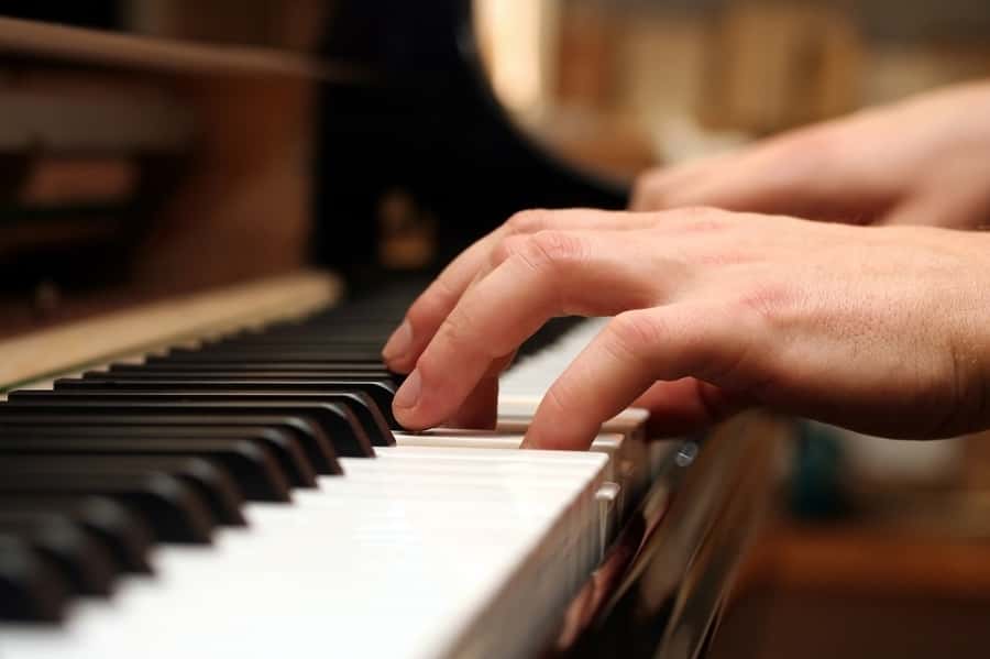 Lunch Cruise with Live Jazz on Sydney Harbour - Should you book the Vagabond Cruises jazz lunch?