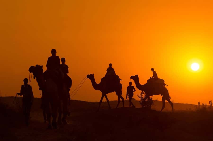 Marrakech: Agafay Desert Dinner, Camel Ride, and Music Show - Key points to know before booking