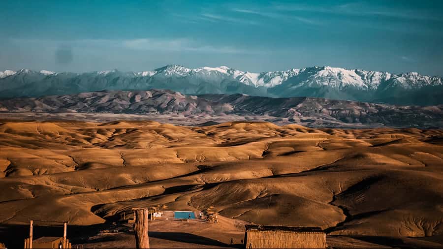 Marrakech: Agafay Desert Dinner, Camel Ride, and Music Show - The camel ride at sunset