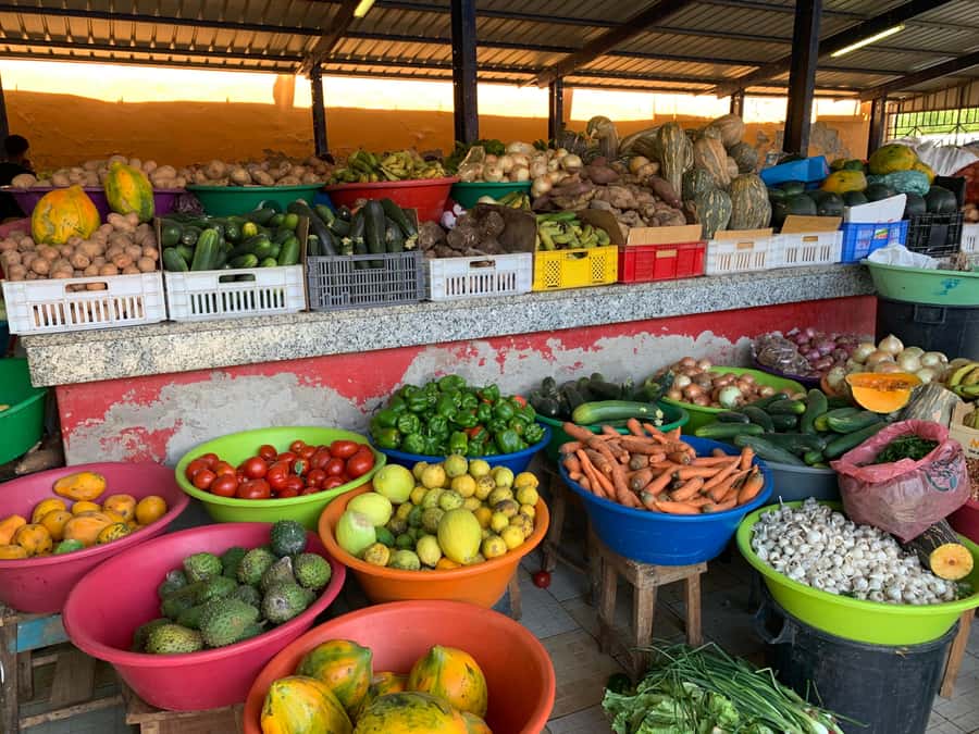Mindelo Cultural: city tour with live music and tasting - Cachupa, traditional snacks, and fresh juice