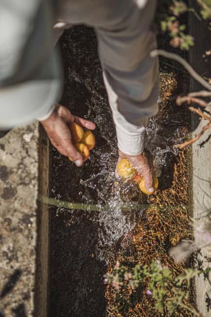 Naxos: Family Farm-table Cooking, Kouros Tour & Live Music - What to bring and how to prepare