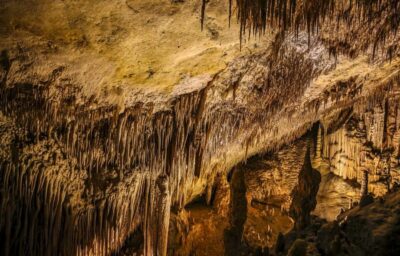 Palma: Caves of Drach Entrance, Music Concert, and Boat Trip